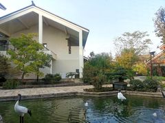 -广富林宰相府酒店·水云间