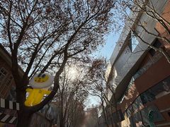 -西安电影制片厂