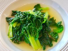 -子福慧(虹桥店)