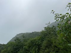 -府君山公园