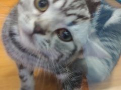 -龟与熊猫宠物公园(南坪店)