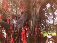 -大嶝英雄三岛战地观光园