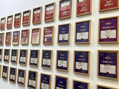-菠萝国际教育专注Alevel·IGCSE·IB·AP·托福雅思培训辅导(静安校区)