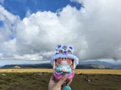 -芦芽山旅游度假区