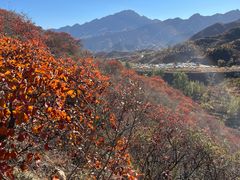 -水峪民俗村