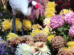 -杭州植物园
