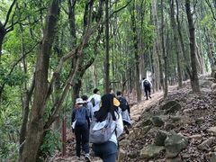 -火炉山森林公园
