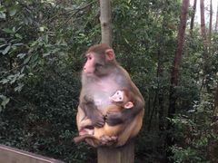 -千岛湖东南湖区