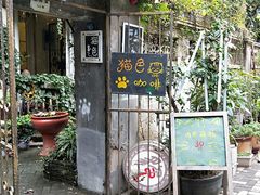 -猫色咖啡·猫咖