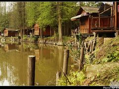 -南宁良凤江国家森林公园