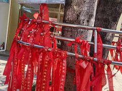 -神光山国家森林公园