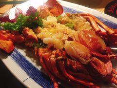 焗波士顿龙虾-綱元·海鲜豆捞(明州里店)