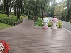 -云溪植物园