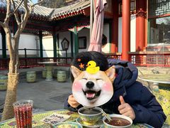 -宫事颐庭·老佛爷贵寿下午茶(颐和园店)