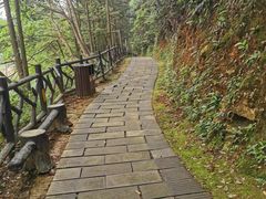 -酒仙湖景区
