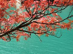 -叠溪松坪沟景区