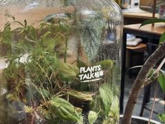 -北马山庄植趣咖啡