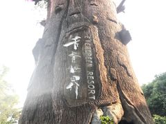 -青青世界
