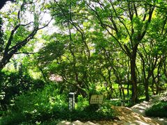 -青岛海滨风景区小鱼山