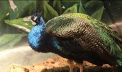 -萌宠亲子动物乐园(槐房万达店)