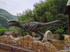 -将军关探险漂流