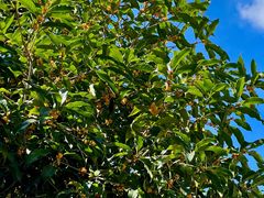 -杭州西湖风景名胜区-满觉陇四眼井