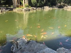 -青岛鑫江温德姆酒店