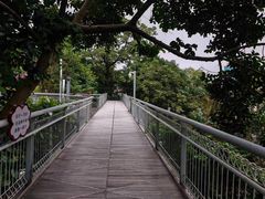 -佛山华盖山公园