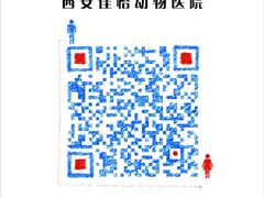 -佳怡动物医院·平价24小时·猫专科骨外科