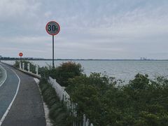 -贡湖湾湿地公园