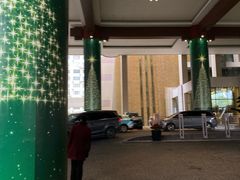 -健身专家Wellness Experts