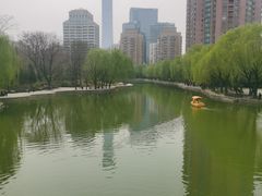 -团结湖公园