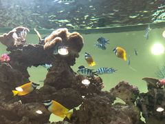 -渔民新村(番禺总店)