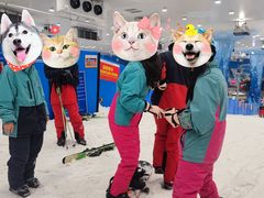 -长沙湘江冰雪世界