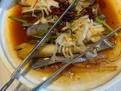 -开海·红岛海鲜虾水饺(石老人店)