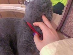 -么么咖啡(燕郊店)