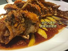 金甲深海大黄鱼-晟永興烤鸭店(五道口店)