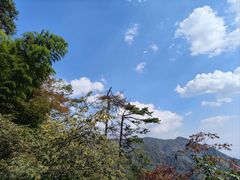 -东天目山风景区