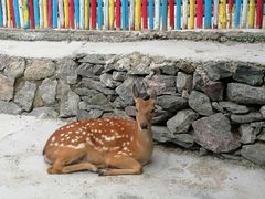 -西部长青自然儿童乐园