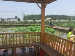 -同銮特种养殖场·龙虾垂钓