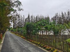 -上海长兴岛郊野公园