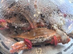 -半岛听涛蒸汽海鲜自助(K11店)