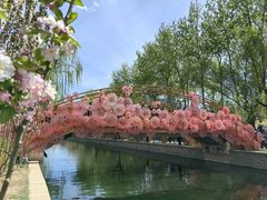 -元大都城垣遗址公园