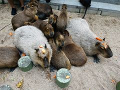 -北京野生动物园