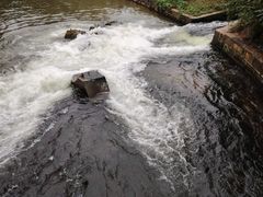 -白鹭湾湿地公园