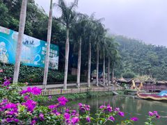 -西双版纳原始森林公园