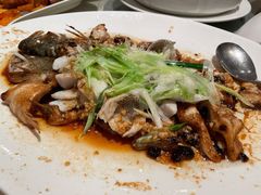 双味鲈鱼球-白云宾馆·白云宴餐厅