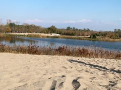 -东郊湿地公园