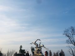-广富林郊野公园