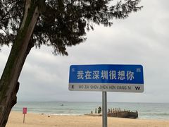 -玫瑰海岸文化旅游度假区